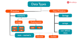Variables and Data Types in Java