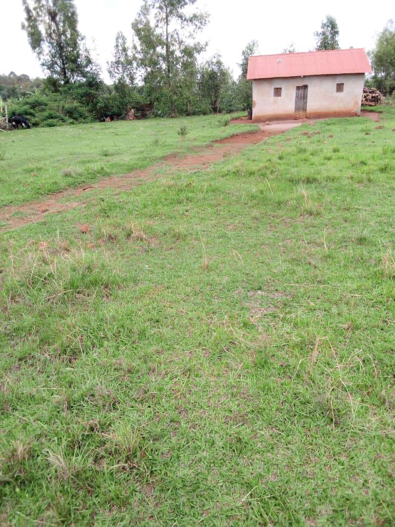 Iyi nzu iri kumwe iri kumwe n'ibindi iri kugurishwa mu Karere ka Kirehe | 10M gusa
