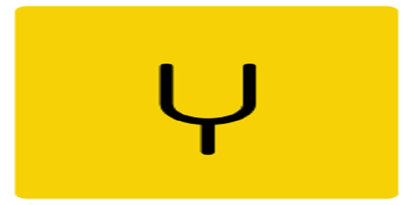 SCOUTS at Yellow