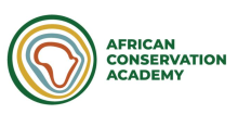 logo_1779776014