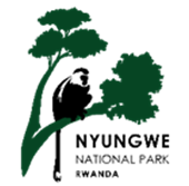 logo_920720448
